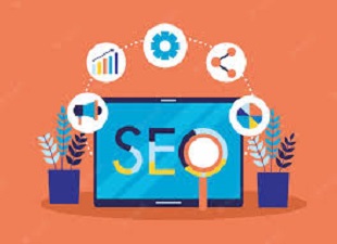 get started with SEO